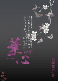 《葉心(清穿)》