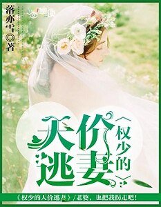 《權少的天價逃妻》