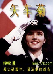 矢車菊【徵文】