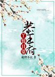 恭王府丫鬟日常