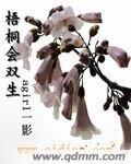 梧桐會雙生