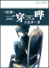 《(綜漫同人)一穿一嗶》