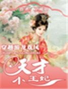 穿越游龍戲鳳:天才小王妃