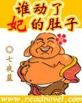 《誰動了妃的肚子》