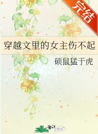 《穿越文裏的女主傷不起》