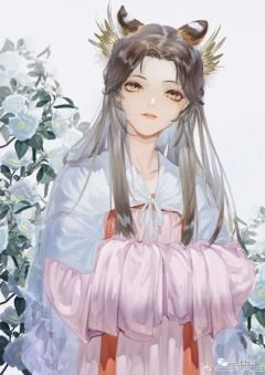 《繼承後宮後的求生日常》