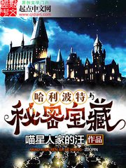 《((HP同人)哈利波特與秘密寶藏》