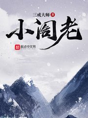 《小閣老》