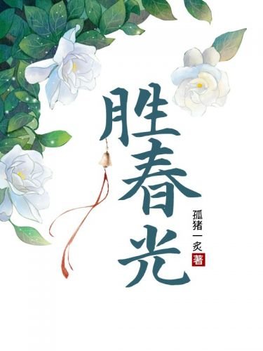 《指揮使大人的相好》