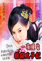 《後宮驚華:妖嬈太子妃》
