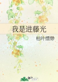 《我是進藤光》