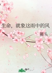 《生命,就象這雨中的風》