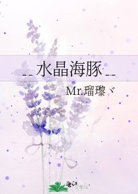 《﹎水晶海豚﹎》