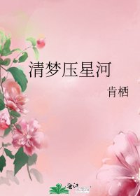清夢壓星河
