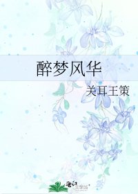 《醉夢風華》