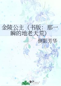 《金陵公主(書版:那一瞬的地老天荒)》