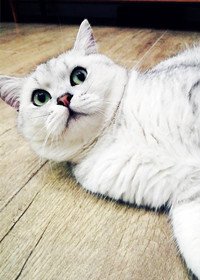 《童話般美好》