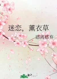 《迷戀,薰衣草》