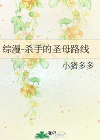 《綜漫-殺手的聖母路線》