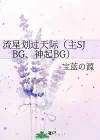 流星劃過天際(主SJBG、神起BG)