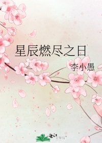 《星辰燃盡之日》