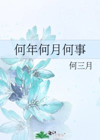 《何年何月何事》
