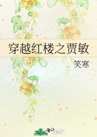 《穿越紅樓之賈敏》