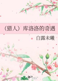 （獵人）庫洛洛的奇遇
