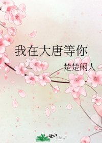 《我在大唐等你》
