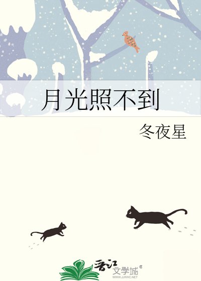 《月光照不到》