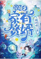 《穿越之家有贅婿》