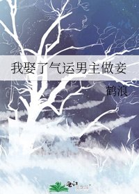 《我娶了氣運男主做妾》