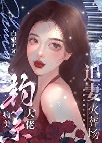 《瘋美釣系大佬追妻火葬場》