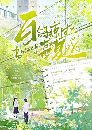 《白鴿掠過盛夏》