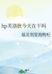 《hp芙洛狄今天在幹嗎》