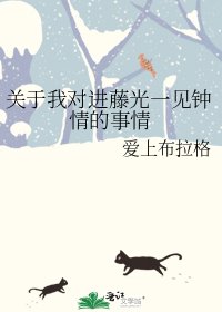 《關於我對進藤光一見鍾情的事情》