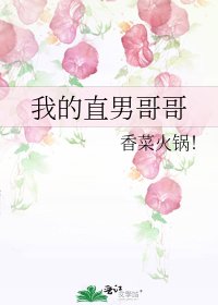 《我的直男哥哥》
