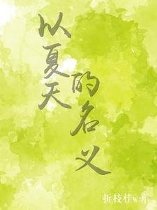 《以夏天的名義》