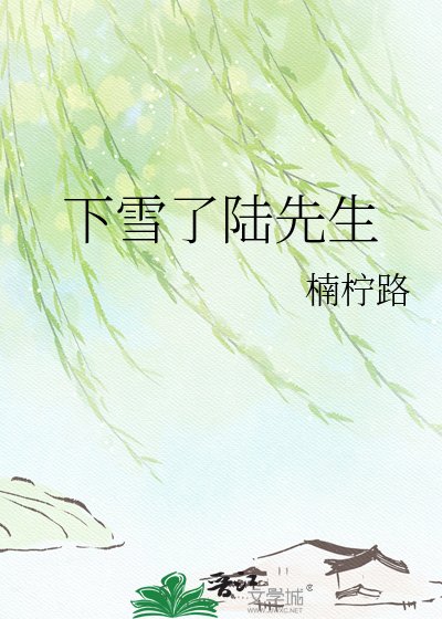 下雪了陸先生
