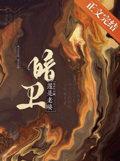 《暗衞還是老婆》