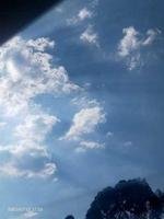 《為誰停》