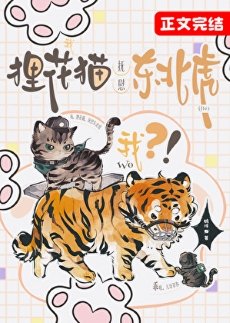 《我,狸花貓,撫慰東北虎?》